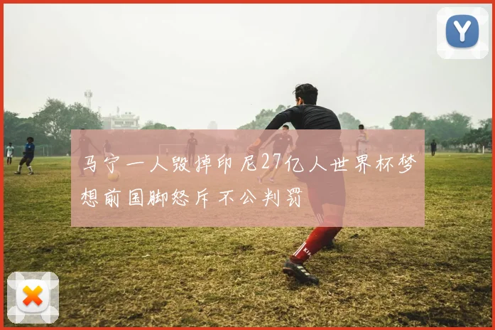 马宁一人毁掉印尼27亿人世界杯梦想前国脚怒斥不公判罚